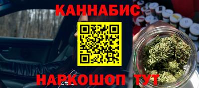молекула духа Будённовск
