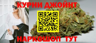 молекула духа Будённовск