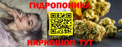 молекула духа Будённовск