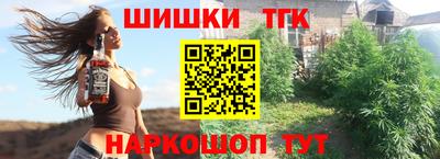 молекула духа Будённовск